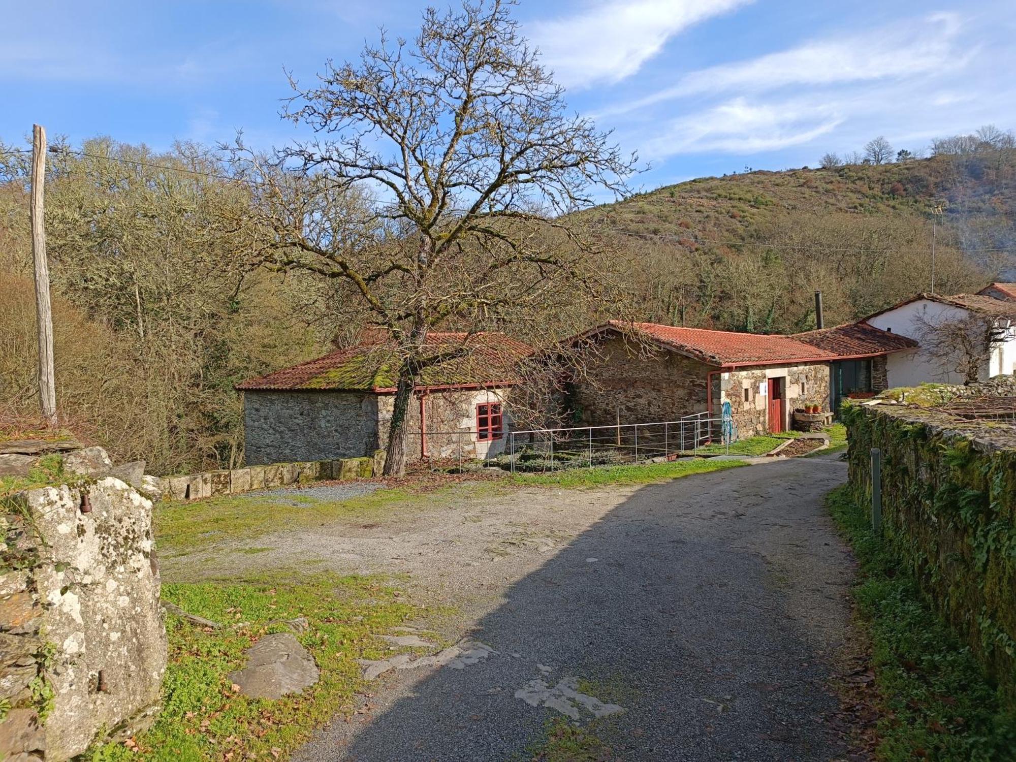 Casa Grande De Covas-Apartamentos Turisticos Taboada Экстерьер фото