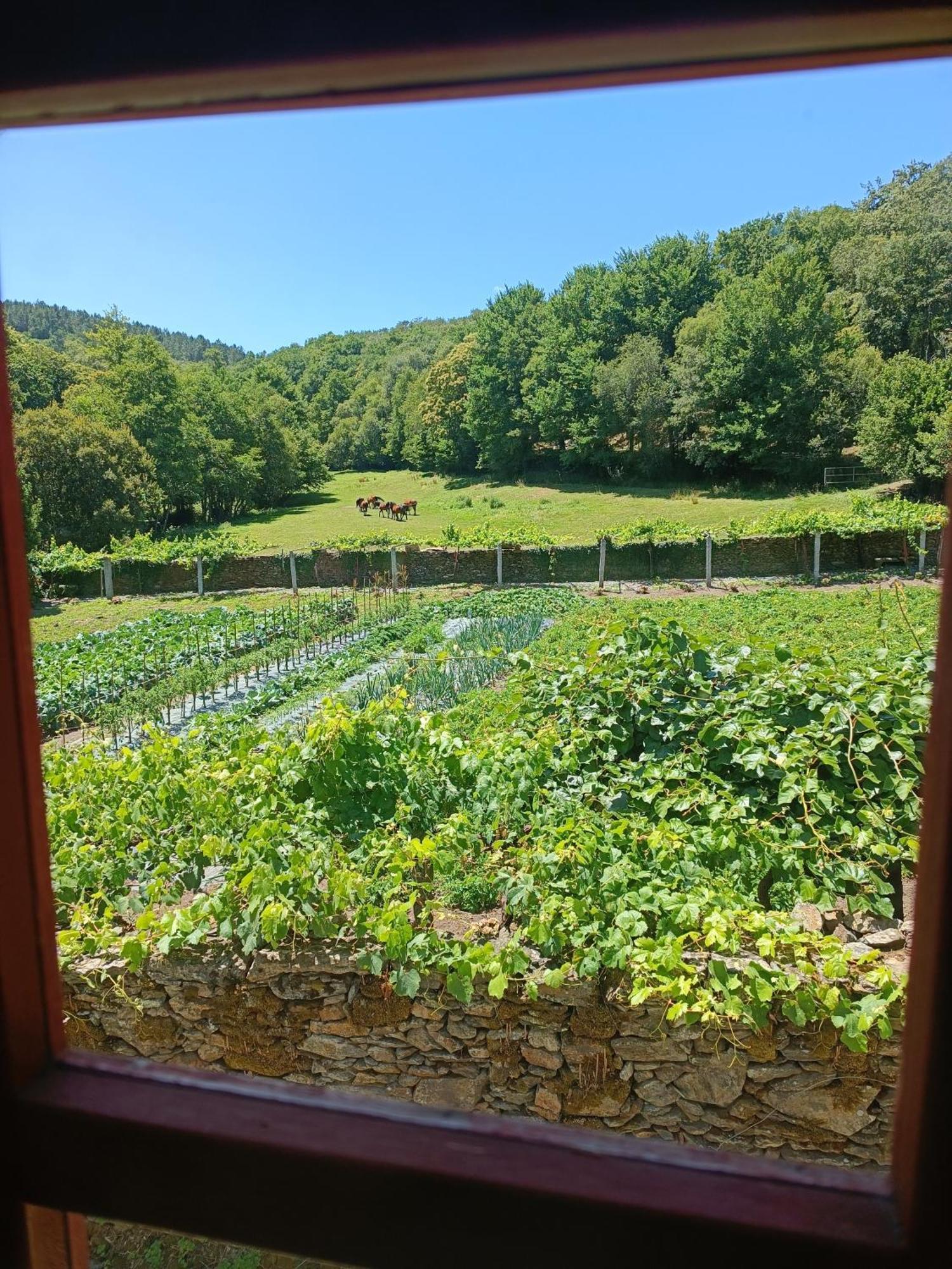 Casa Grande De Covas-Apartamentos Turisticos Taboada Экстерьер фото
