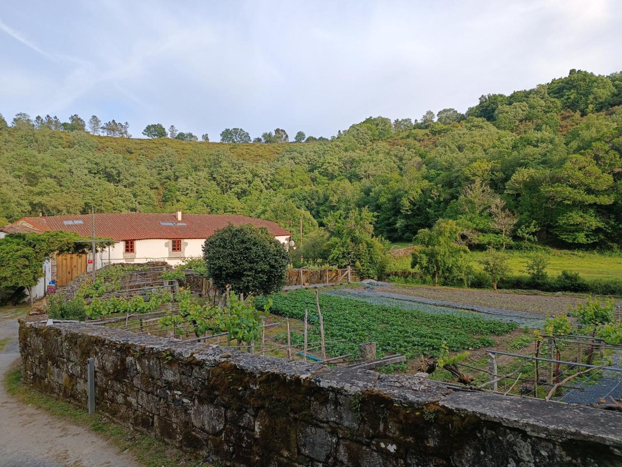 Casa Grande De Covas-Apartamentos Turisticos Taboada Экстерьер фото
