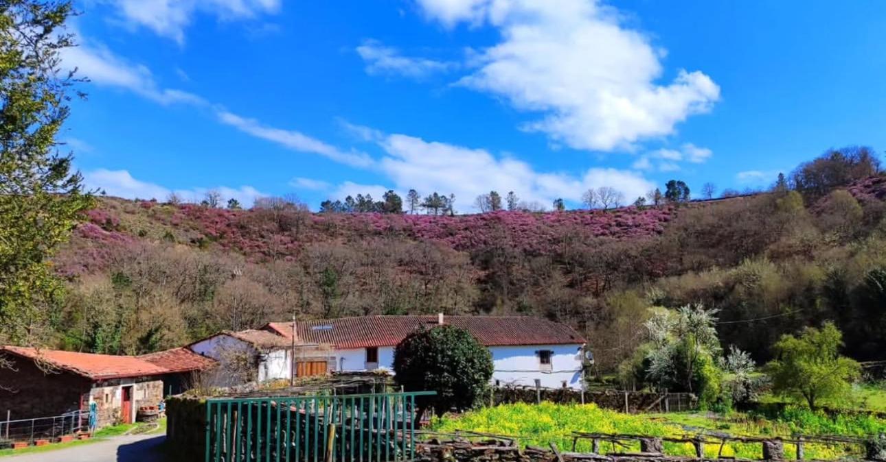 Casa Grande De Covas-Apartamentos Turisticos Taboada Экстерьер фото