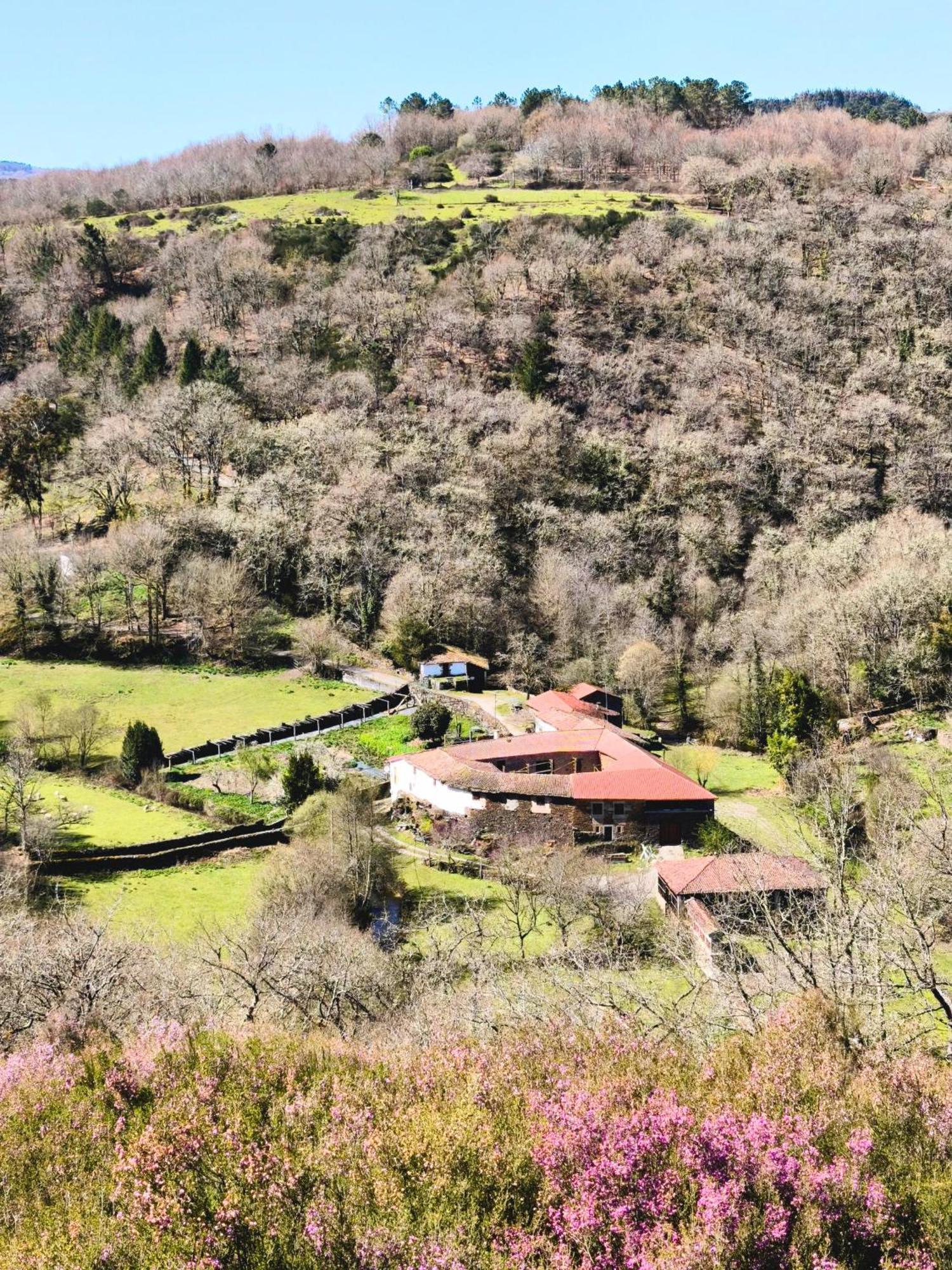 Casa Grande De Covas-Apartamentos Turisticos Taboada Экстерьер фото