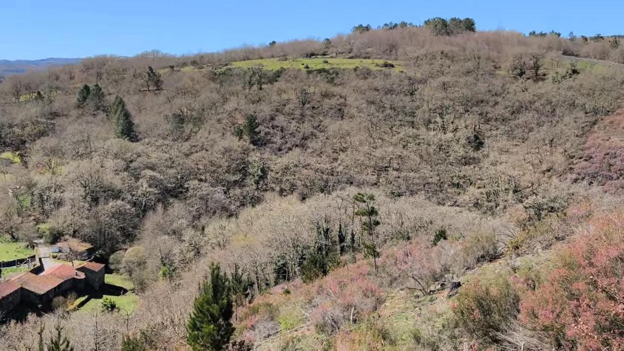 Casa Grande De Covas-Apartamentos Turisticos Taboada Экстерьер фото